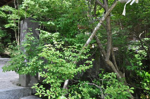 仁比山神社の玉垣