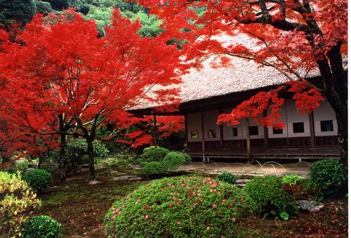 九年庵（旧伊丹氏別邸）庭園