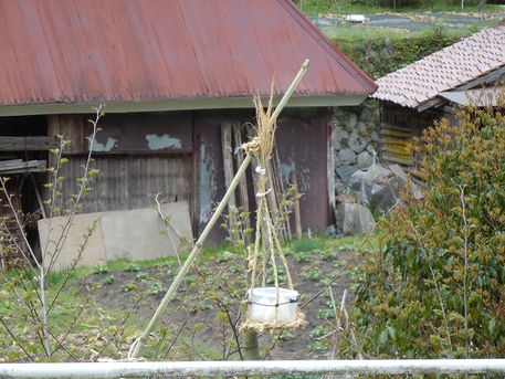 川渡り朔日