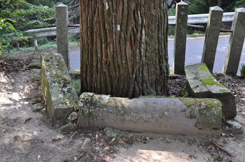 倉岡神社の鳥居